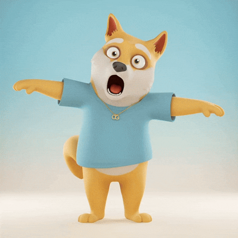Shiba Inu Wow GIF by Doge Pound