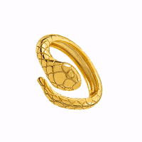 aristocrazy  GIF