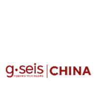 China G6 Sticker by G Seis Publicidade