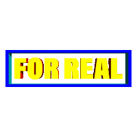 For Real Seriously Sticker by 811