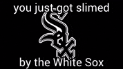 Major League Baseball GIF