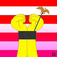 Obama Hostages GIF by gifnews