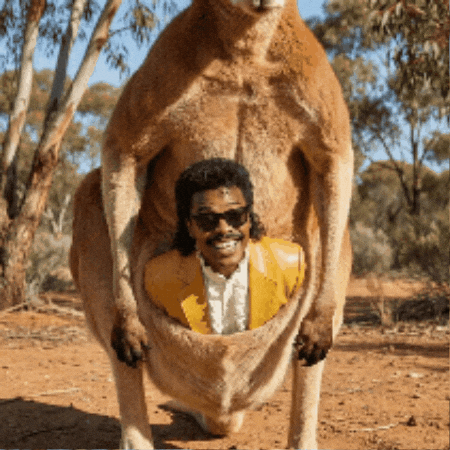 Down Under Wtf GIF by Jukebox Saints