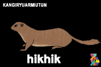 Inuvialuit GIF by Tusaayaksat Magazine