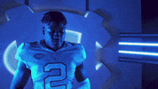 North Carolina Football GIF by UNC Tar Heels