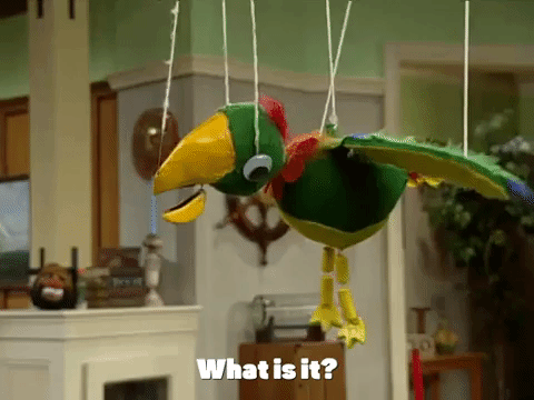 season 3 the lost episode GIF by SpongeBob SquarePants