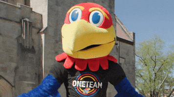 Number One Jayhawks GIF by University of Kansas