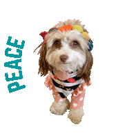 Peace Love Sticker
