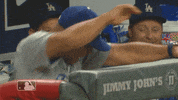Ball Reaction GIF by MLB