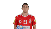 Handball_Austria aut ohb handballaustria bilyk Sticker