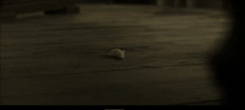 rhiannongarthjones giphygifmaker GIF