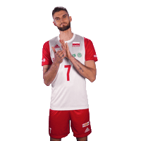 Clap Volleyball Sticker by Polska Siatkowka