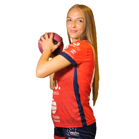 Sport Handball Sticker