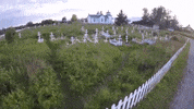 alaska GIF