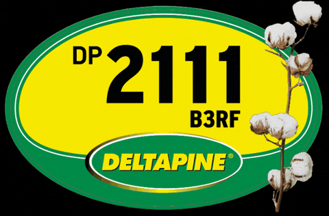 Deltapine GIF by intactarr2pro