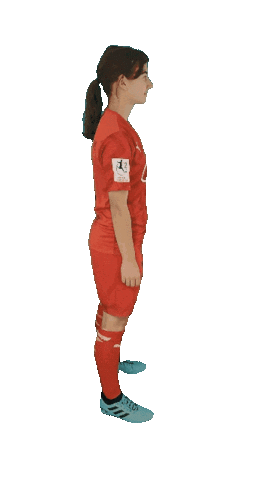 schanzerinnen frauenfussball zeller nichtohnemeinemädels schanzerinnen Sticker