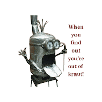 Hungry Red Cabbage Sticker by Salt And Savour Sauerkraut