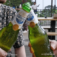 SantaCruz1906 beer cheers bottle cerveza GIF