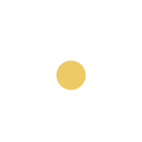 Flower Flores Sticker by Uma tipo