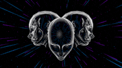 visualization GIF by kans