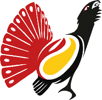 Rugby Match Sticker by RugbyBergamo