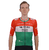 Tour De France Victory Sticker by Team Visma | Lease a Bike