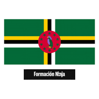 Flag Pixel Art Sticker by Formación Ninja
