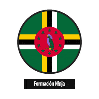 Flag Bandera Sticker by Formación Ninja