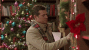 Angel Falls Miracles Of Christmas GIF by Hallmark Mystery