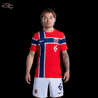Fifa World Cup Uefa GIF by Respective