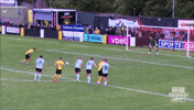Goalkeeper Save GIF by Cliftonville Football Club