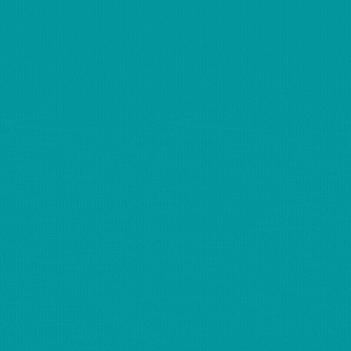 rengarenkminiklershop giphyupload rengarenk minikler GIF
