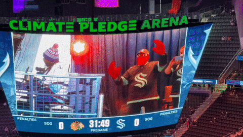 Hockey Nhl GIF