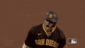 Lets Go Baseball GIF by San Diego Padres