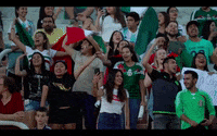 celebrate come on GIF by MiSelecciónMX