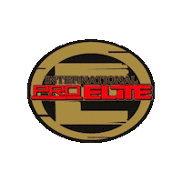 Sticker by IPE NANBF