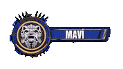 Survivor Tv8 Sticker by Acun Medya