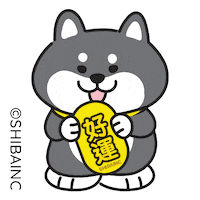 Best Of Luck Love Sticker by SHIBAINC