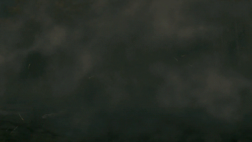 Monster Fog GIF by Xbox