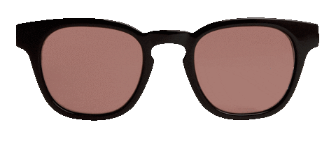 Try On Dan Levy Sticker by DL Eyewear