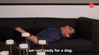 I Am Not Ready For A Dog