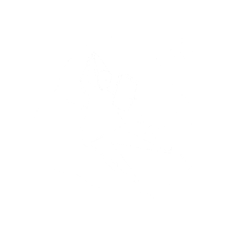 Book Oneday Sticker