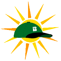 Sun Hat Sticker by Beck's Hybrids