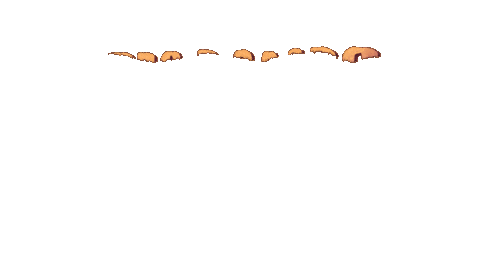 mariazuluagas giphyupload illustration water swimming Sticker