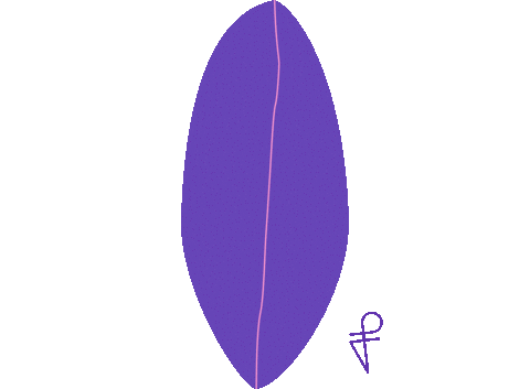 Pink Clam Sticker