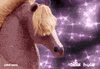 adult swim horse GIF by HULU