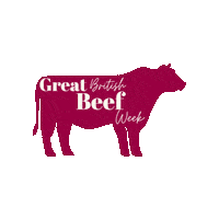 Butcher Grass Fed Beef Sticker by Aubrey Allen