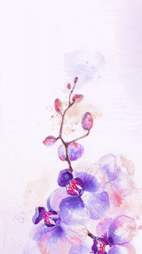 GIF by Ohdelicia