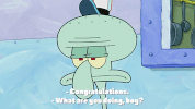 season 9 lost in bikini bottom GIF by SpongeBob SquarePants
