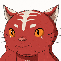 Cat Love GIF by Kitaro World